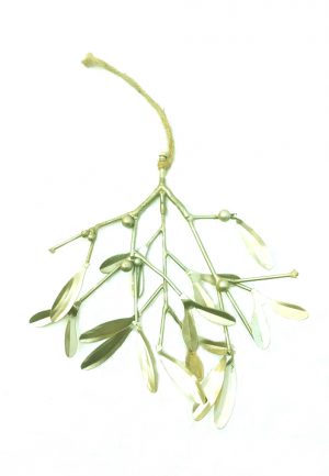 Hanging Mistletoe Bunch